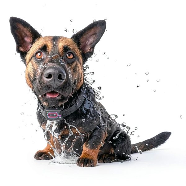 Zaguren Bark Collar Adjustable Sensitivity Waterproof-5