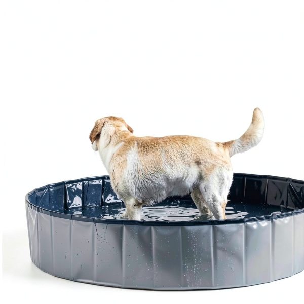 Petace Portable Dog Pool Collapsible Sturdy PVC Pet Bath Tub-6