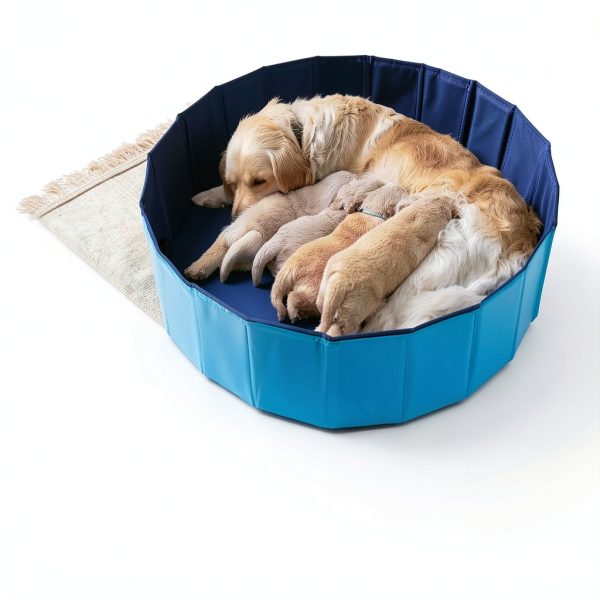FLKQC Foldable Dog Pool Blue Pet Bathtub Whelping Box-5