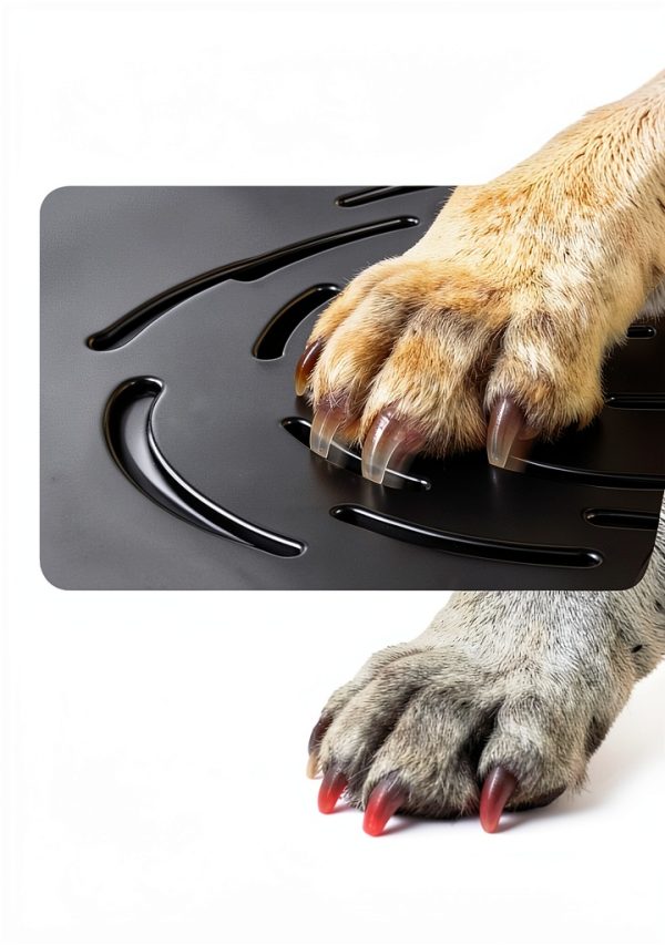 VEVOR Dog Grooming Tub Foldable Ramp Hot Cold Faucet-4