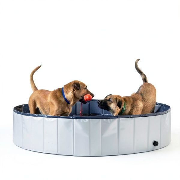 Petace Portable Dog Pool Collapsible Sturdy PVC Pet Bath Tub-1