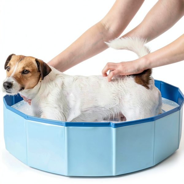Tehuahui Dog Pool Portable Bathtub Anti Skid Durable PVC-5