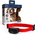 PetSafe Bark Control Collar for Dogs-0