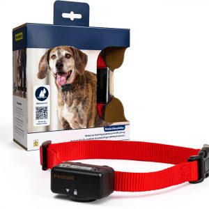 PetSafe Bark Control Collar for Dogs-0