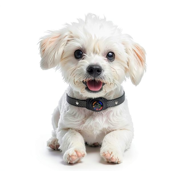 Drroon Bark Collar for Small Dogs Classic Black-6