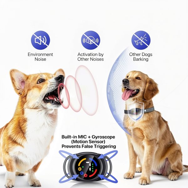 Drroon Bark Collar for Small Dogs Classic Black-2