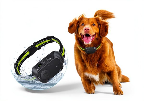 Dog Bark Collar CZCCWD C10 Rechargeable Anti False Collar with 3 Modes-5