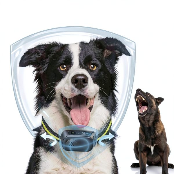 Dog Bark Collar CZCCWD C10 Rechargeable Anti False Collar with 3 Modes-3
